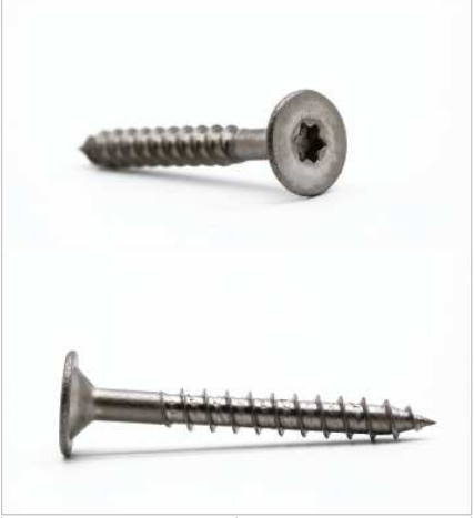 Frame Screw